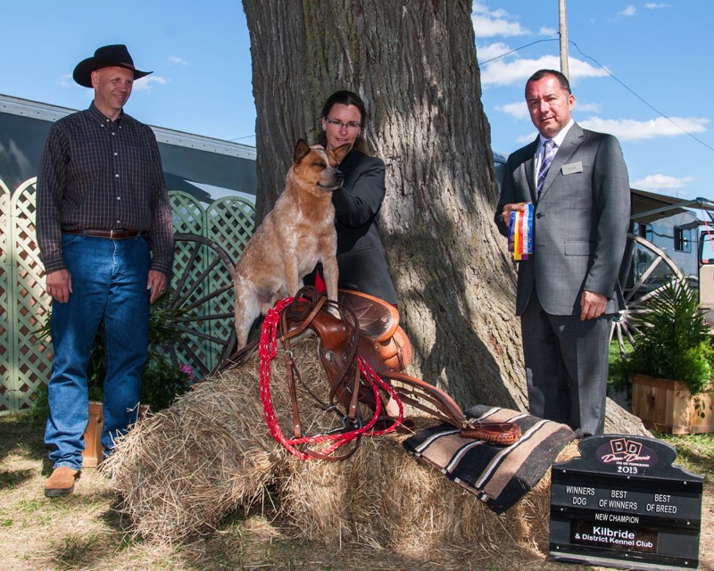 Stacks Image 137